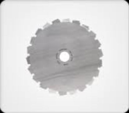 Afbeelding - 1212-7131015-jpg